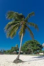 Playa giron, Cuba Ã¢â¬â January 2, 2017: Tropical Beach view with people in Playa Giron, Cuba Royalty Free Stock Photo